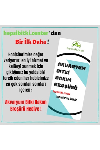 Akıllı Akvaryum Bitki Gübresi 10 Adet