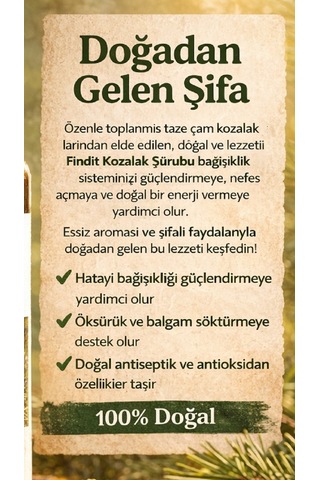 Findit Yeni Kozalak Şurubu - Doğal Bitkisel Destek 250 Ml