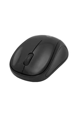 Frisby FM-260WM Kablosuz Optik Mouse