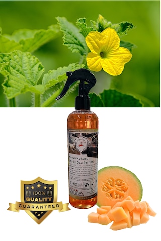 Abrias Kavun Oto Ve Oda Kokusu 400ml