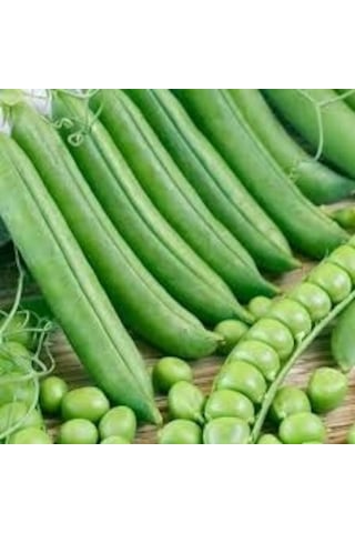 Utrillo Bezelye Tohumu Tohum 1 Kg