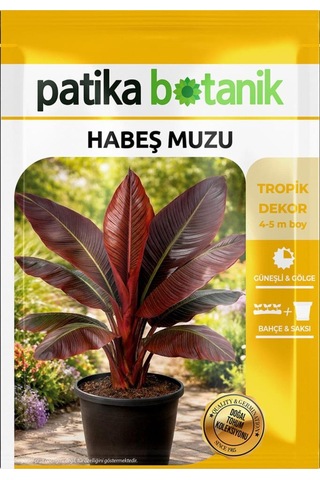 5 Adet Habeş Muzu Çiçek Tohumu (Ensete Ventricosa)
