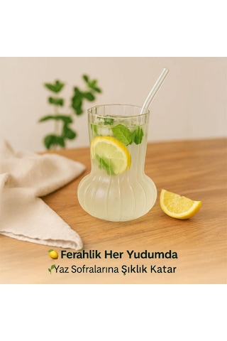 Minimal Borosilikat Cam Vazo, 500 Ml Ters Mantar Model Şeffaf
