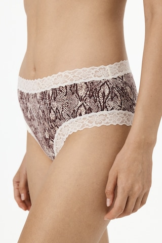 Penti Ekru Comfy Pamuklu Cheeky Hipster Külot