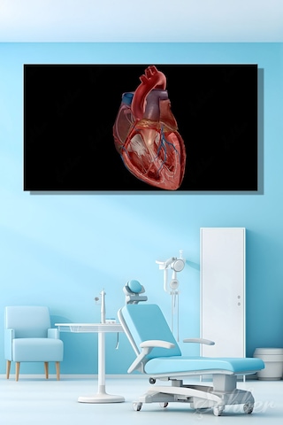 İnsan Kalbinin Anatomik Yapısını Gösteren Detaylı Bir Tıbbi Renkli Çizim Yatay Kanvas Tablo Tekli 3542