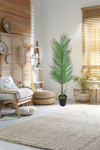 Yapay Ağaç Palmiye 155 50cm 30yaprak Areka Ağacı Siyah Saksıda Tek Gövdeli