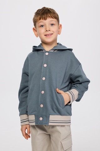 Panço Erkek Çocuk Kapüşonlu Petrol Sweatshirt Mavi