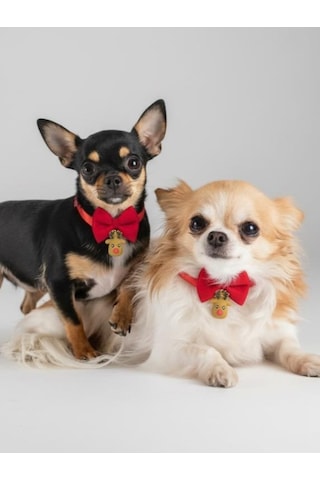 Yılbaşı Geyiği Küçük Irk Köpek Papyon Tasması Kırmızı Fiyonk Boyun Aksesuarı Noel Temalı Köpek Süsü