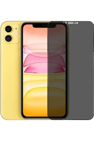 Apple Iphone 12 Mini Full-screen Privacy Görünmez Mat Hayalet Ekran Koruyucu Cam