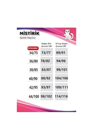 Mistirik Espera Model Dantel Detaylı Dolgusuz Yarı Transparan Sütyen Kırmızı Renk Kırmızı
