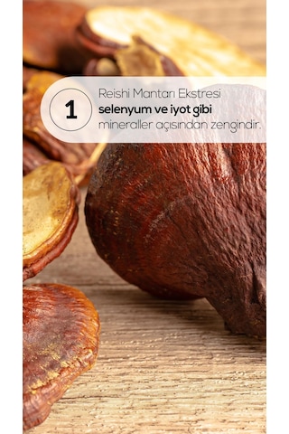Erbatab Reishi Mantarı Ekstresi 60 Kapsül