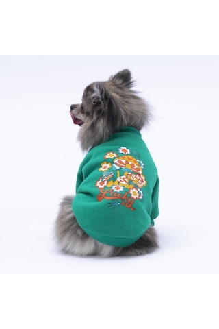 Yeşil Chongqing Kedi Köpek Sweat- Kedi Köpek Kıyafeti