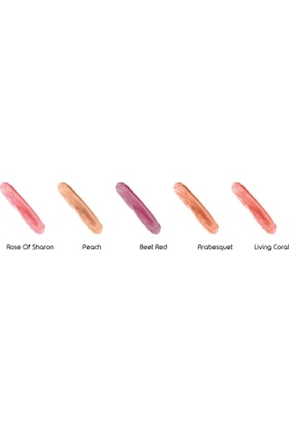 Reva Lip Cheek & Eye Tint Living Coral No: 114 Allık Far & Dudak Renklendirici 3 in 1 Stick 6.4 G