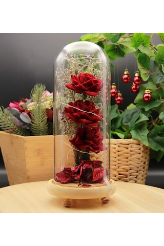 Premium Solmayan Gül Işıklı Cam Fanus Ahşap Standlı Kırmızı Mega Boy