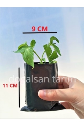 Fidan Poşeti 9X11 cm 10 Adet Körüksüz Fide Poşeti Fide Torbası