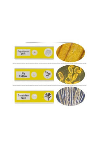 Ece Mikroskop Slayt Preparat Seti Başlangıç 12'li Çiçekler