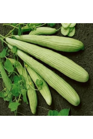 İnce Uzun Geleneksel Ege Acur Tohumu 20 Tohum