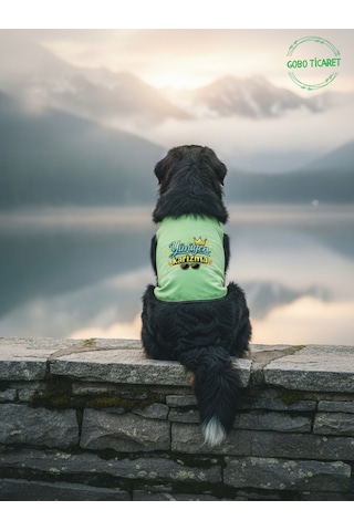 Yeşil Yürüyen Karizma Yazılı Kedi Ve Köpek Kıyafeti Tişörtü Elbisesi Small/s/beden 1
