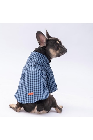 Mavi Luss Kedi Köpek Gömleği - Kedi Köpek Kıyafeti