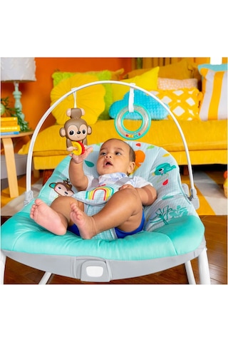 Bright Starts Wild Vibes Ana Kucağı Yatıştırıcı Titreşimler Çıkarılabilir Oyuncak Barı Bebek Koltuğu