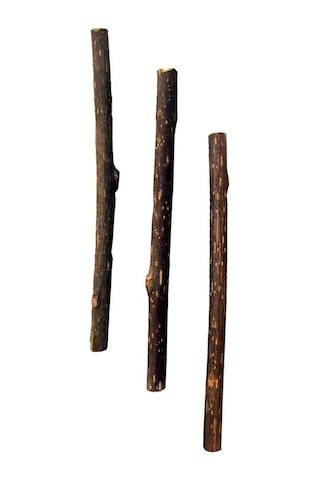 Matatabi Cats Stick Small 3'lü Doğal Çiğneme Çubuğu Kedi Oyuncağı 12 CM