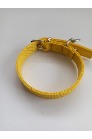 Kozaklı Küçük Irk Köpek Tasması Sarı 50 x 2.5 CM Sarı