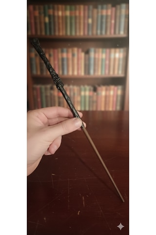 Harry Potter Asa Potterhead Hediyelik Koleksiyon Ürünü 0