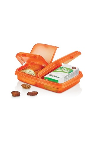 Natürel Beslenme Kabı Çok Renkli