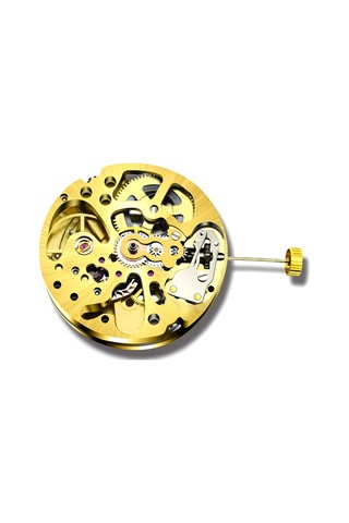 Xurunkeji Altın İskelet 2004 Hareketi Sıradan Sarkaç Ayarı Radyasyon Desenli Tam Otomatik Saat Hareketi Altın