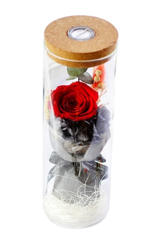 Wezone "kırmızı Led Işıklı Sonsuz Gül - Cam Şişede Romantik Hediye Pil Dahil "