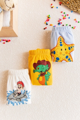 Bebelove Erkek Bebek 3'lü Erkek Bebek Alıştırma Külodu Karışık Renk