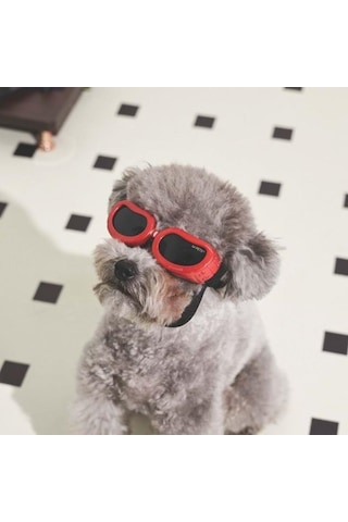 M-pets Sunny Daytrip Köpek Gözlüğü Kırmızı
