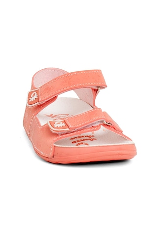 Benetton Bn-1237 Patik Kız Çocuk Sandalet Turuncu-turuncu Turuncu