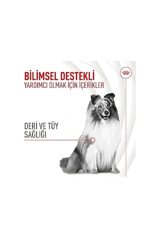 Royal Canin Skin & Coat Chews Deri Ve Tüy Sağlığını Destekleyen Yetişkin Köpek Ödül Maması 240gr