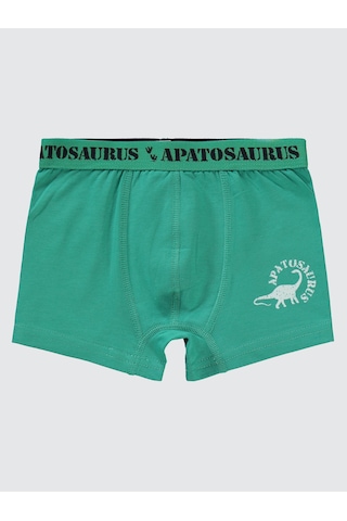 Civil Boys Erkek Çocuk 3'lü Boxer Set 2-10 Yaş Yeşil