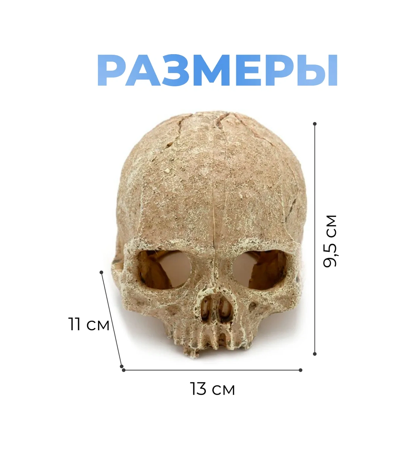 Petsroom Akvaryum - Teraryum Dekorasyonu - Kafatası Mağarası 165847212