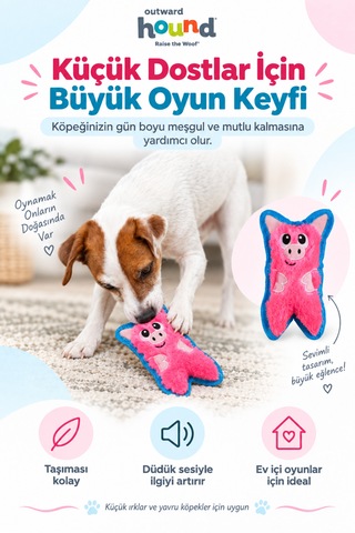 Petstages Durablez Tough Pig Pink Düdüklü Dayanıklı Peluş Köpek Oyuncağı Xsmall