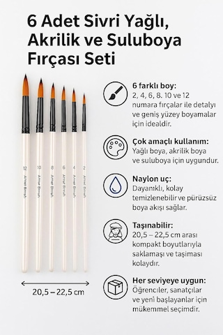 6 Adet Sivri Yağlı Akrilik Ve Suluboya Fırçası Takımı Naylon Fırça Seti Cin686