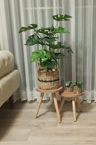 3'lü Ahşap Ayaklı Çiçeklik Saksılık Standı Dekoratif Yan Sehpa Seti 25 Cm Çap Atlantik Çam Diğer