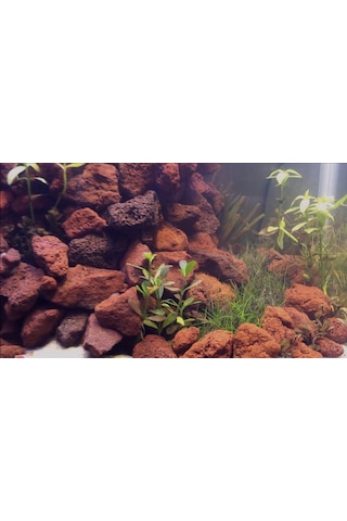 Lav Taşı 3 Kg 10-15 Mm Akvaryum Teraryum Taşı Filtre Taşı Pomza