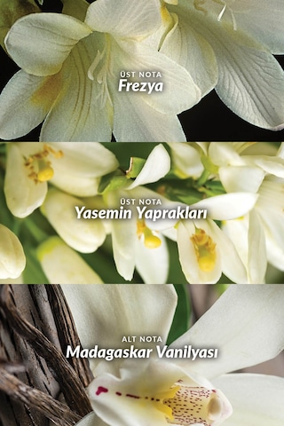 Avon Far Away Kadın Roll-On 3 x 50 ML