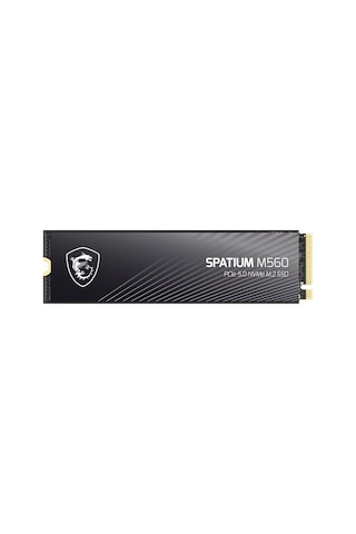 MSI Spatium M560 2 TB (10300/8700MB/S) M.2 2280 Pcıe 5.0 Nvme SSD