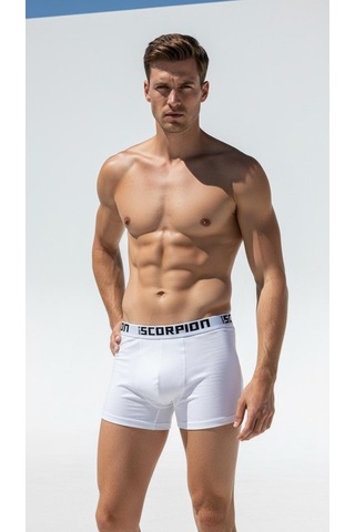 Erkek 6 Lı Boxer Seti Beyaz Renk Esnek Bel Lastikli Beyaz