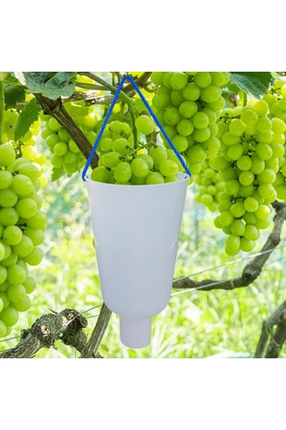 Homyl Üzüm Meyve Islatma Kabı Yetiştirme Bakımı Premium Daldırma