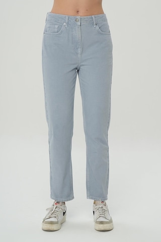 Ariana Gri-mavi Yüksek Bel Patı Fermuarlı Mom Jean Pantolon C 4525-139 Gri