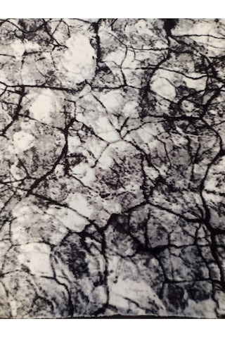 Aslan Home Siyah Çizgi Desenli Yıkanabilir Kaymaz Dört Mevsimlik Salon, Banyo, Balkon, Genç Odası Kesme Yolluk Siyah & Beyaz