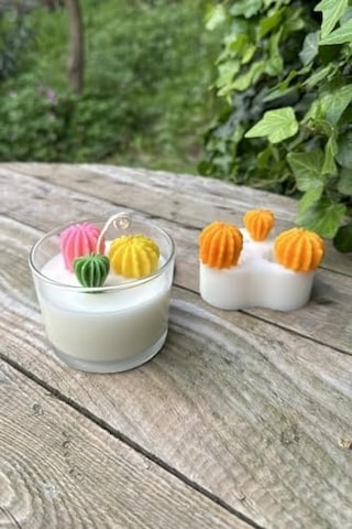 Ball Mini Üçlü Sukulent Mum Kalıbı Silikon 50 x 22