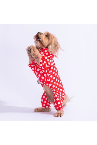 Kırmızı Dots Köpek Tulum Yağmurluğu Köpek Yağmurluk Köpek Kıyafeti Köpek Elbisesi