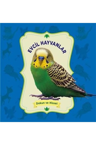 +1 Yaş Dokun ve Hisset – Evcil Hayvanlar 0-6 Yaş Yayınları