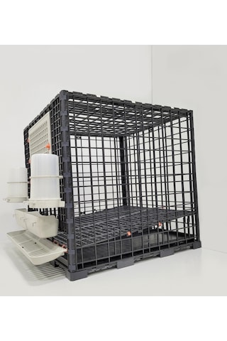 Leganest Tavuk Sülün Keklik Bantam İspenç Kafesi 62 x 62 x 62 CM